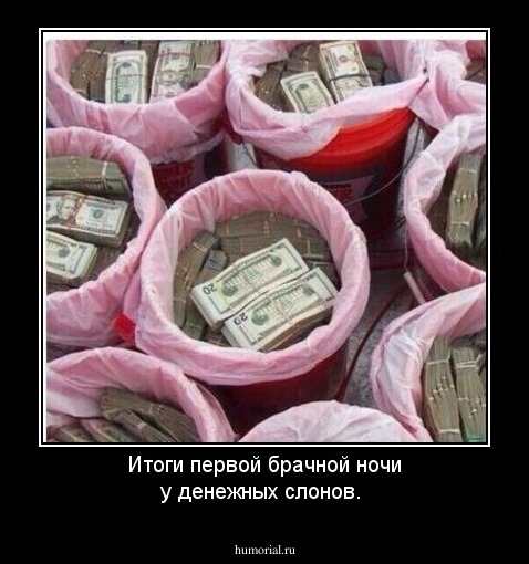 Итоги первой брачной ночи у денежных слонов.