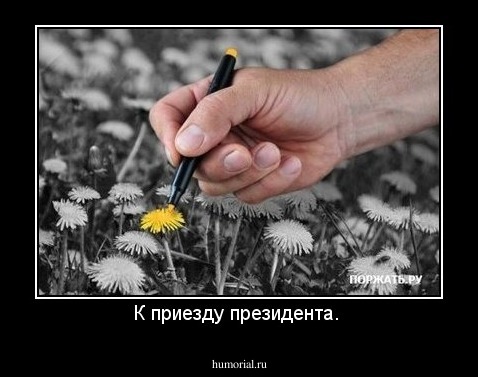 К приезду президента. 