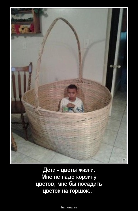 Дети - цветы жизни. Мне не надо корзину цветов, мне бы посадить цветок на горшок...