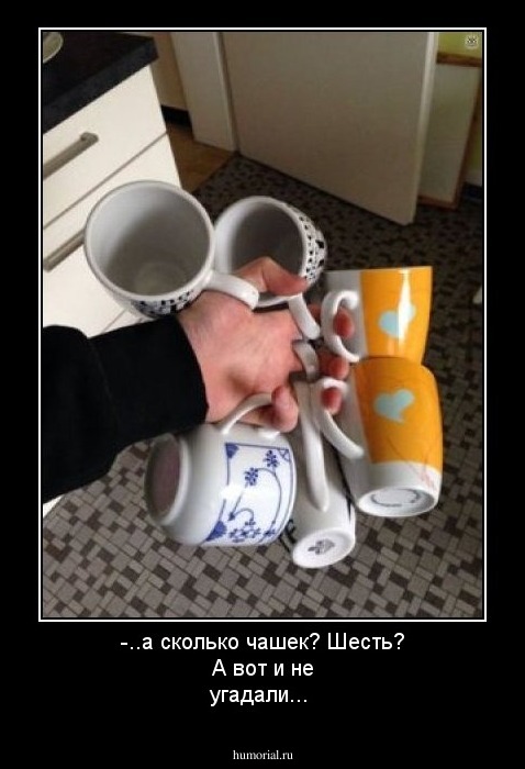 -..а сколько чашек? Шесть? А вот и не угадали...