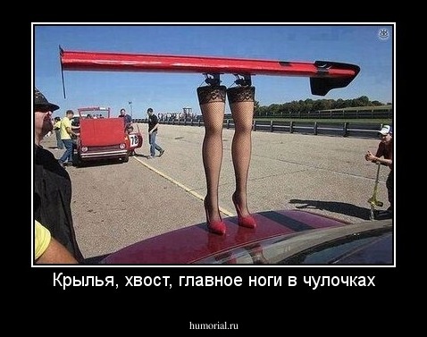 Крылья, хвост, главное ноги в чулочках