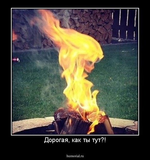 Дорогая, как ты тут?!