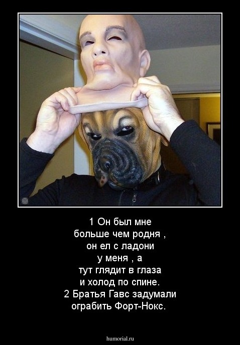 1 Он был мне больше чем родня , он ел с ладони у меня , а тут глядит в глаза и холод по спине.
2 Братья Гавс задумали ограбить Форт-Нокс.