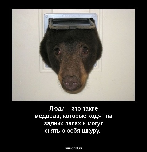 Люди – это такие медведи, которые ходят на задних лапах и могут снять с себя шкуру.