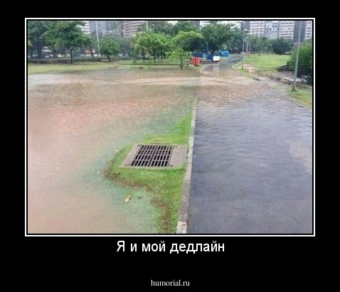 Я и мой дедлайн