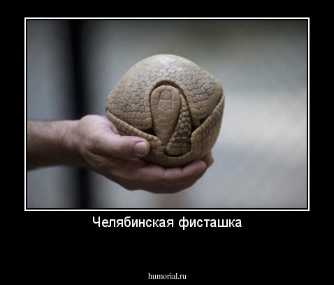 Челябинская фисташка
