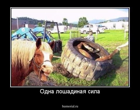 Одна лошадиная сила