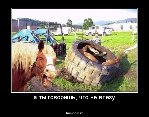 а ты говоришь, что не влезу