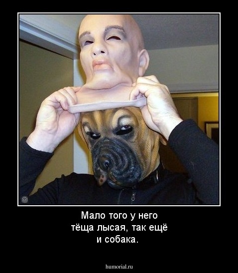 Мало того у него тёща лысая, так ещё и собака.