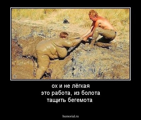 ох и не лёгкая это работа, из болота тащить бегемота