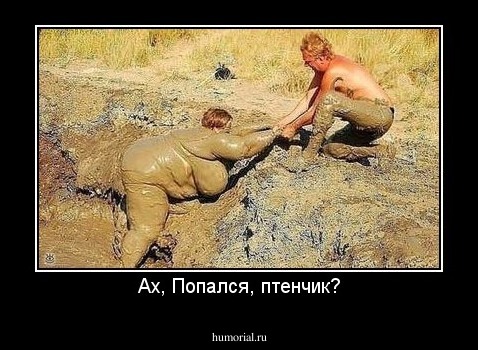 Ах, Попался, птенчик?