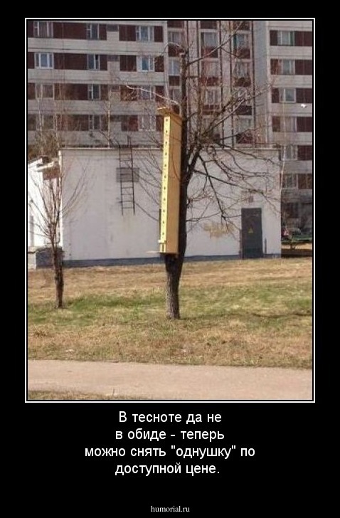 В тесноте да не в обиде - теперь можно снять "однушку" по доступной цене.
