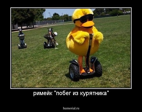 римейк "побег из курятника"