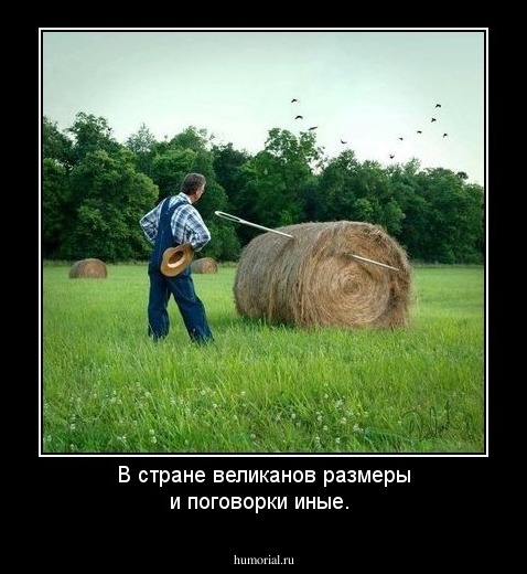 В стране великанов размеры и поговорки иные.