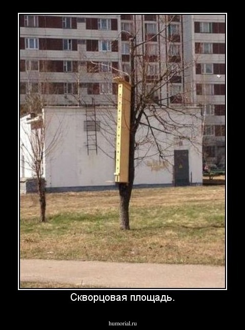 Скворцовая площадь.