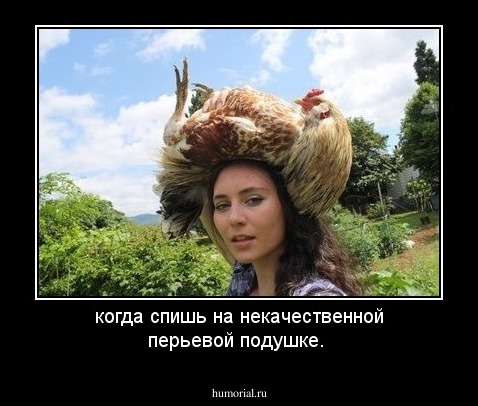 когда спишь на некачественной перьевой подушке.