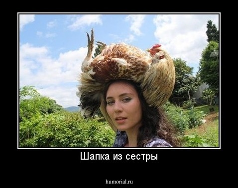 Шапка из сестры