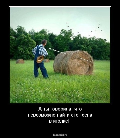 А ты говорила, что невозможно найти стог сена в иголке! 