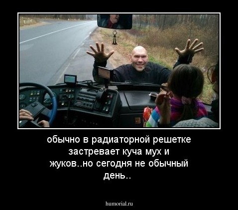 обычно в радиаторной решетке застревает куча мух и жуков..но сегодня не обычный день..