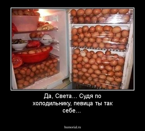 Да, Света... Судя по холодильнику, певица ты так себе...
