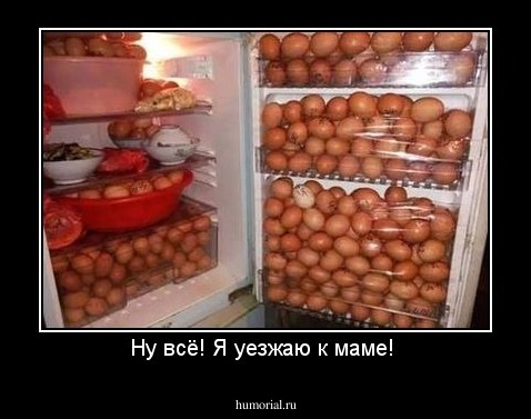 Ну всё! Я уезжаю к маме! 