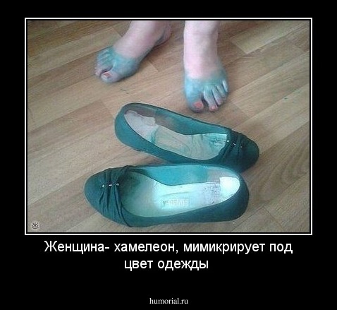 Женщина- хамелеон,  мимикрирует  под цвет одежды
