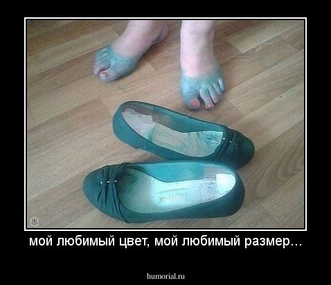 мой любимый цвет, мой любимый размер...