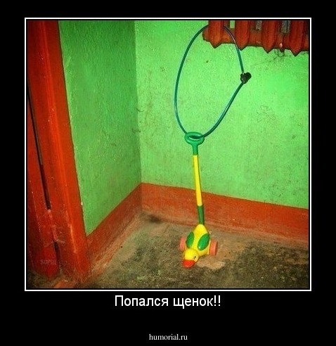 Попался щенок!!