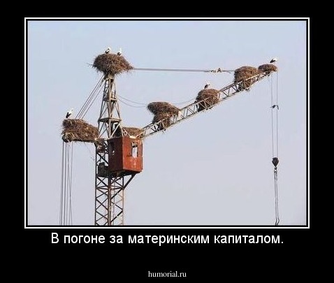 В погоне за материнским капиталом.