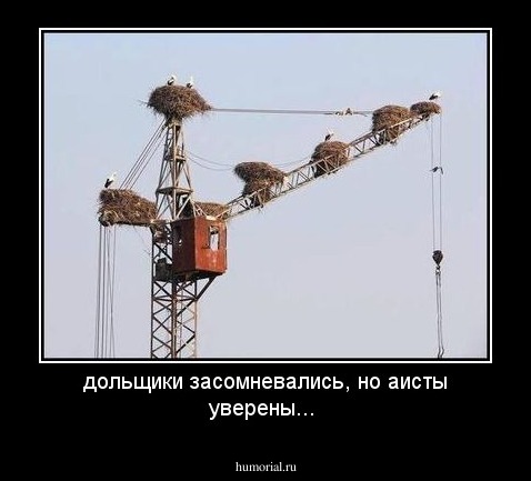 дольщики засомневались, но аисты уверены...