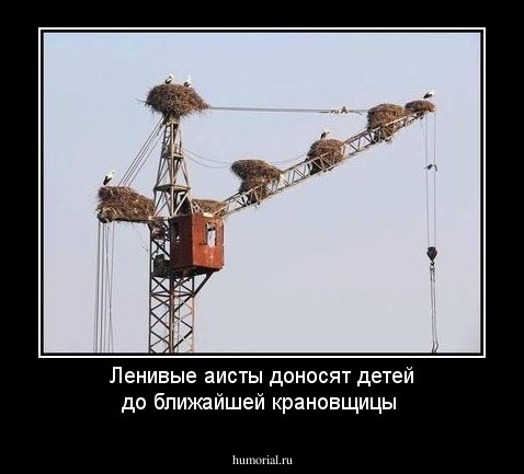 Ленивые  аисты доносят детей до ближайшей крановщицы