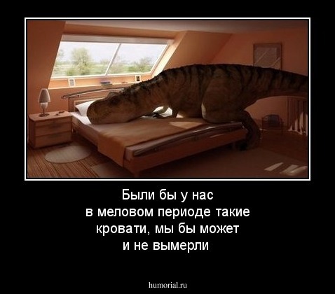 Были бы у нас в меловом периоде такие кровати, мы бы может и не вымерли