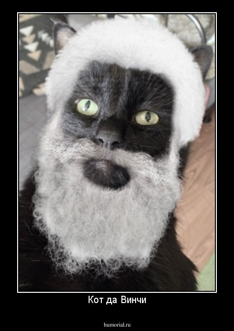 Кот да Винчи