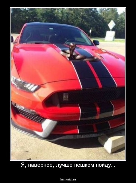 Я, наверное, лучше пешком пойду...