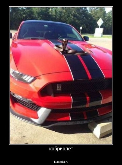 кобриолет