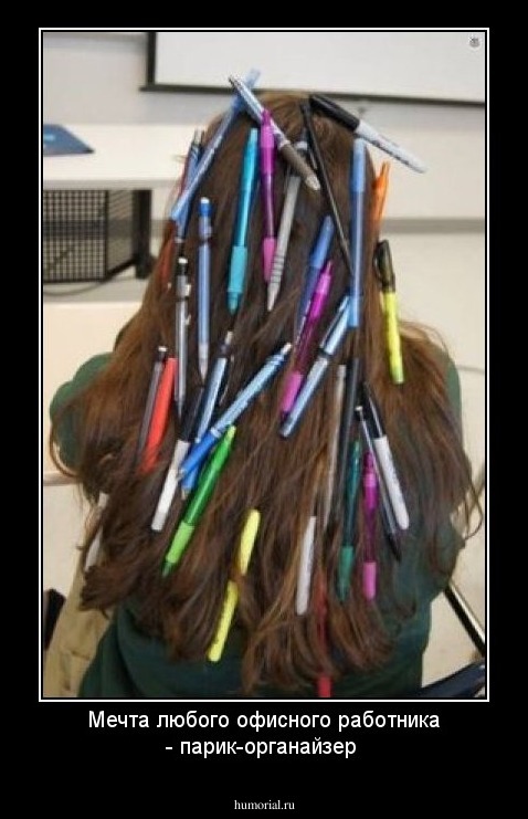 Мечта любого офисного работника - парик-органайзер