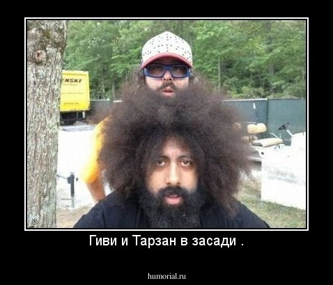 Гиви и Тарзан в засади .