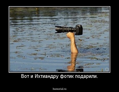Вот и Ихтиандру фотик подарили.