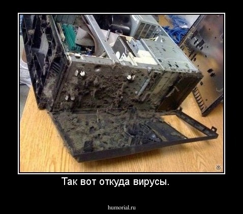 Так вот откуда вирусы.    