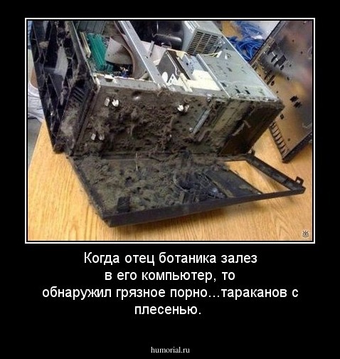 Когда отец ботаника залез в его компьютер, то обнаружил грязное порно...тараканов с плесенью. 