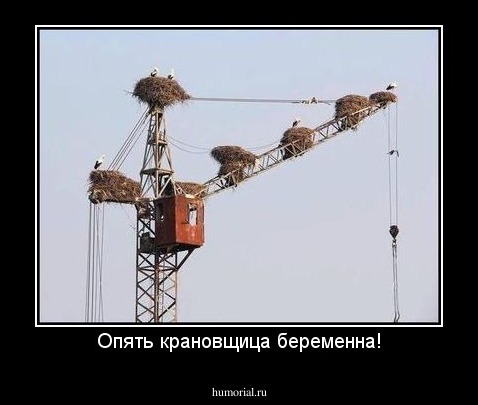 Опять крановщица беременна!