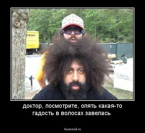 доктор, посмотрите, опять какая-то гадость в волосах завелась