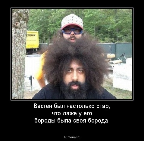 Васген был настолько стар, что даже у его бороды была своя борода