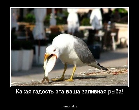 Какая гадость эта ваша заливная рыба!
