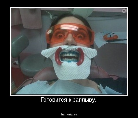 Готовится к заплыву. 