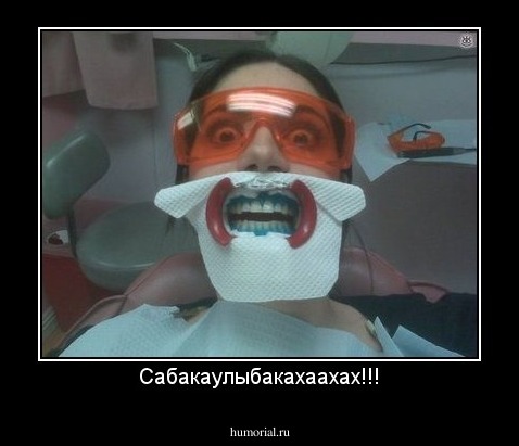 Сабакаулыбакахаахах!!!