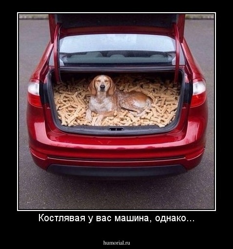 Костлявая у вас машина, однако...