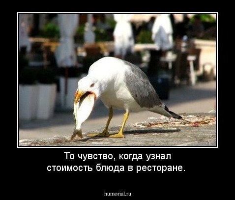 То чувство, когда узнал стоимость блюда в ресторане.