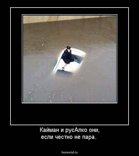 Кайман и русАлко они, если честно не пара.
