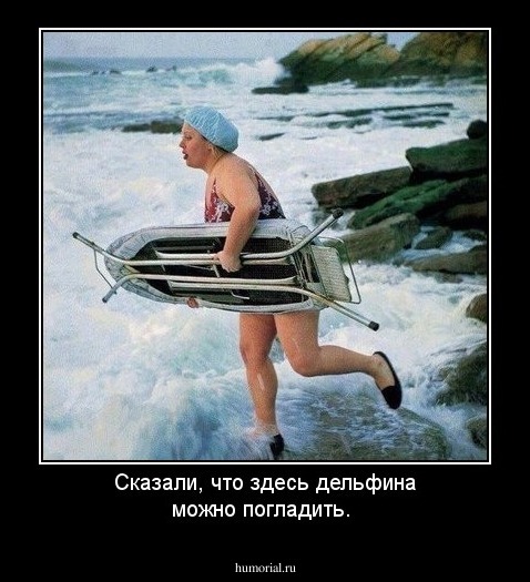 Сказали, что здесь  дельфина можно погладить.